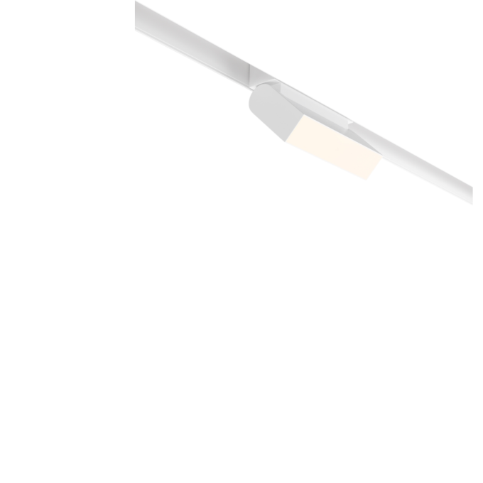 Трековый светильник MAYTONI BASIS ROT TR013-2-10W4K-W